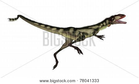 Dilong dinosaur jumping - 3D render