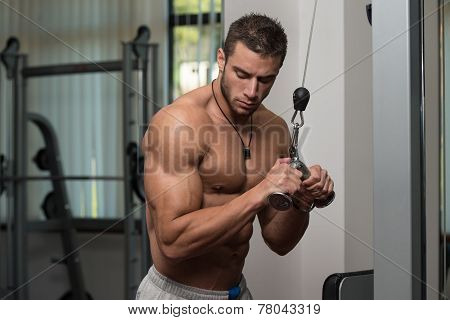 Man Doing Exercise For Triceps