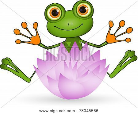 Frog And Flower