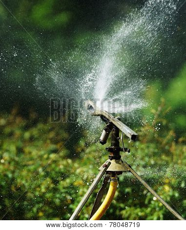 Sprinkler
