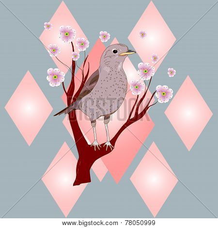 Bird on a flowering tree branch