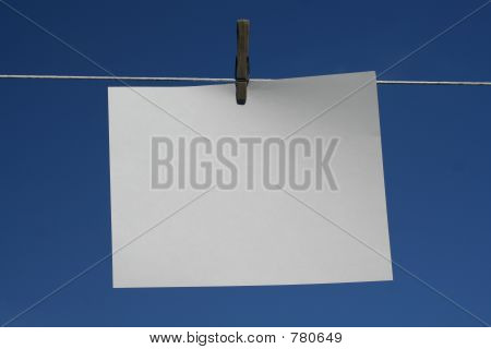 muestra en blanco anillo en d