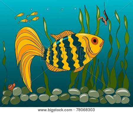 Fish