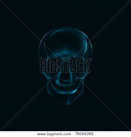vector illustration of a human  skull x-ray print. medical conce