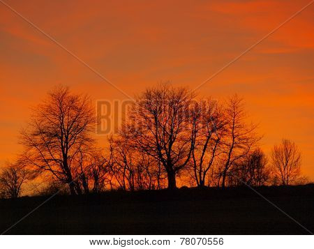 Autumn Sunset , Southern Bohemia
