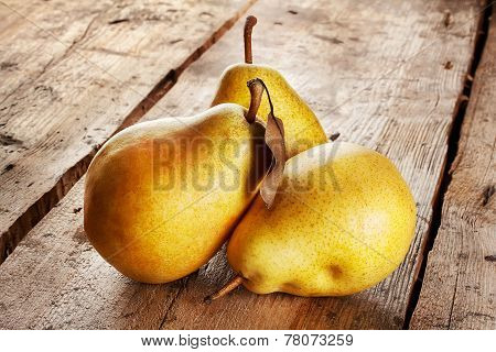 Three Juicy Ripe Pears