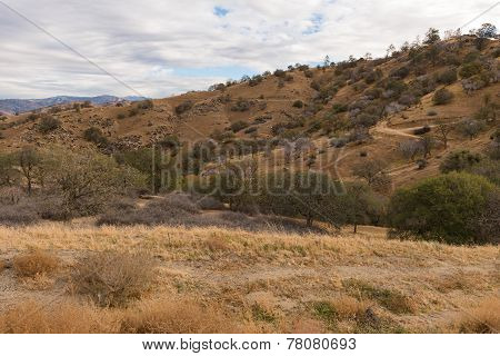 Hills