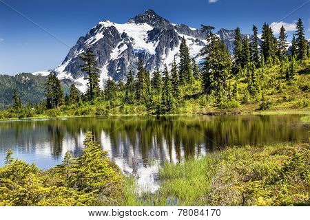Picture Lake Evergreens Mount Shuksan Washington Usa