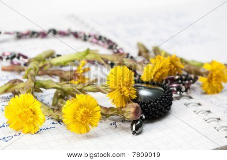 Fiori gialli