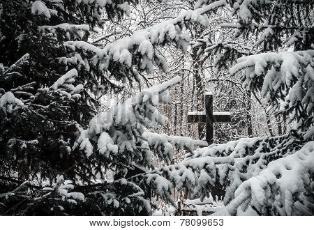Cemetery in winter