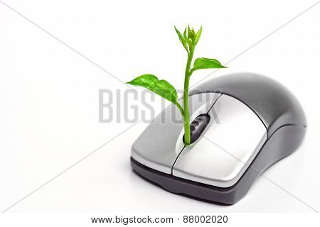 Green IT