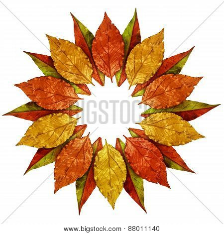 Autumn Leaves Vintage Golden Frame