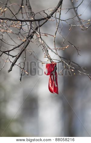 red ribbon tied on a tree branch