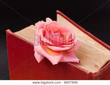 Indicador de Rose