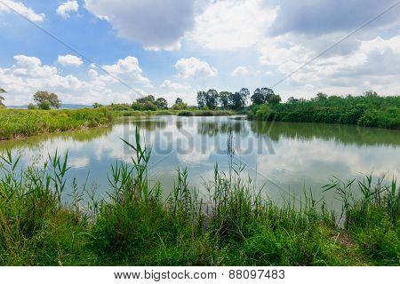 Wetland, En Afek