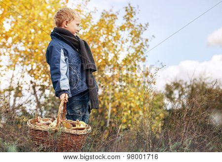 Boy In Autumn Forest With Full Basket Of Mushrooms