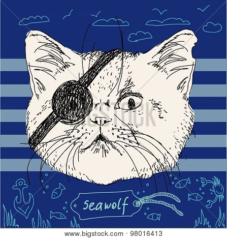 Illustration of pirate cat on blue background in vector