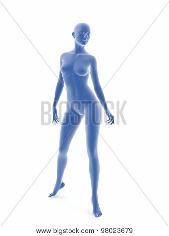 Woman Body