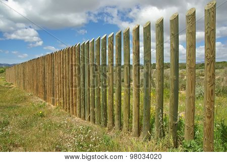 Wall Of Poles