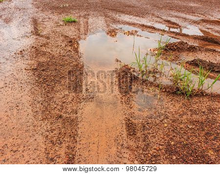 The Roy Wheels Are In Mud Floor