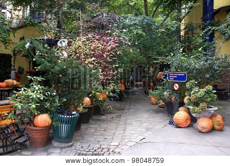 Kunsthaus. Yard Near The House In The Fall