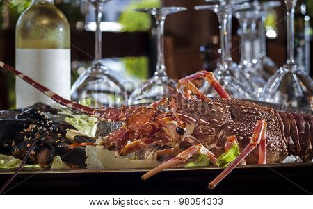 fresh lobster with bottle of white wine