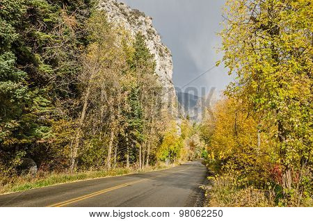 A Bit Of Fog Down The Road