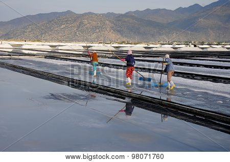 Salk workers work in salt field in Vietnam