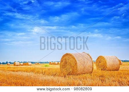 Hay Bale Rolls In Field