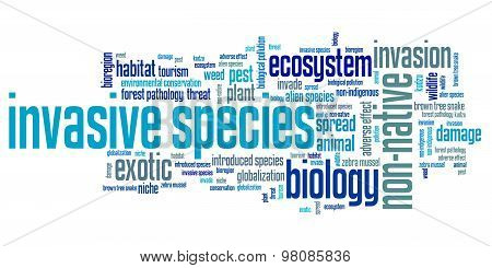 Invasive Species