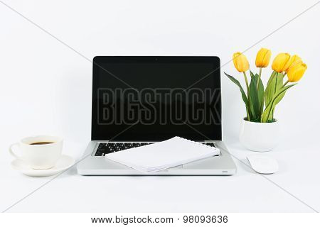 Laptop And Flower Pot Isolate