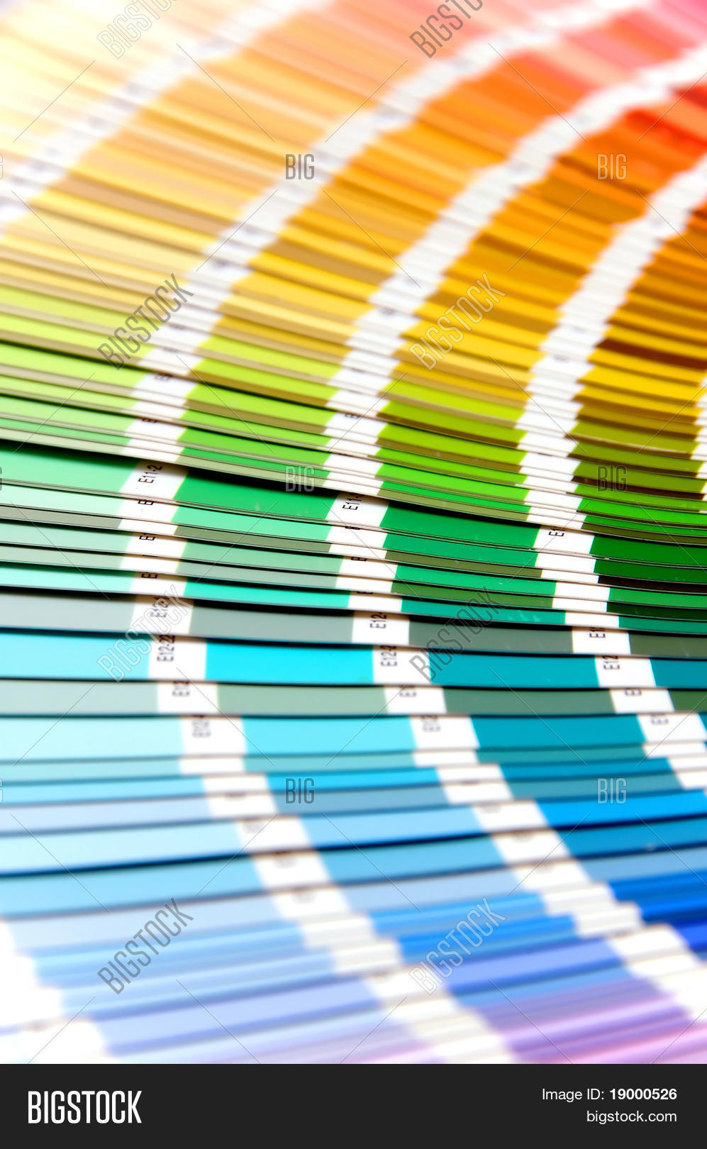 Color Palette Lines Image & Photo (Free Trial) Bigstock
