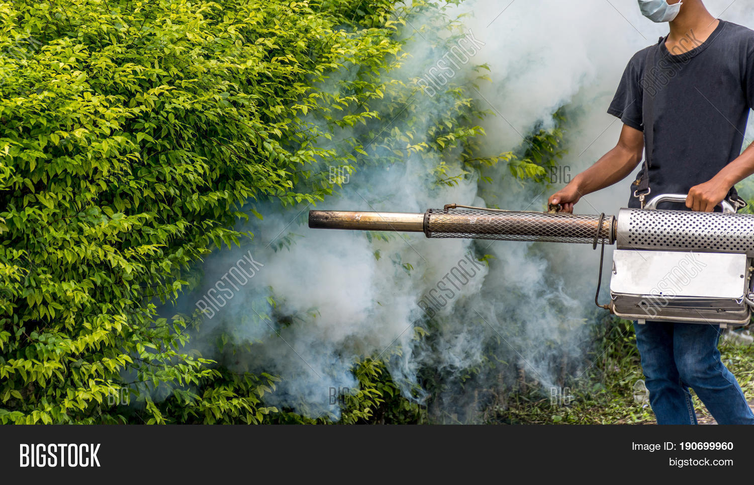 People Fogging DDT Image & Photo (Free Trial) Bigstock