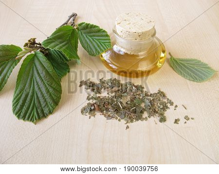 Tincture with hamamelis and fresh and dried leaves
