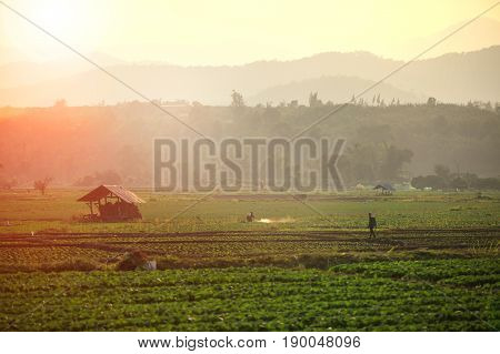 Iew Of A Rural Farm With Small Hut