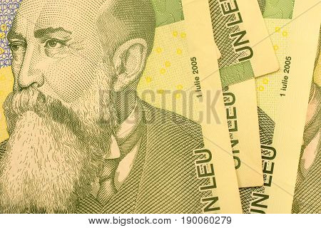Close up Romanian currency note, LEI or LEU, Romania