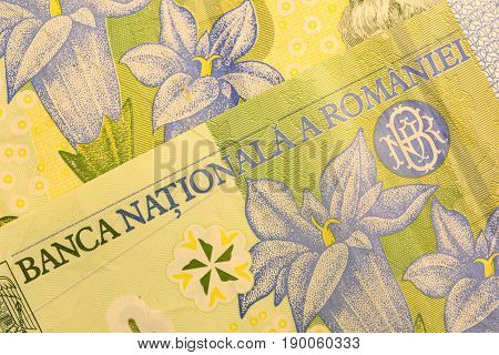 Close up Romanian currency note, LEI or LEU, Romania
