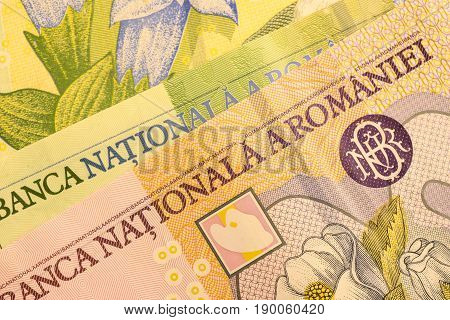 Close up Romanian currency note, LEI or LEU, Romania
