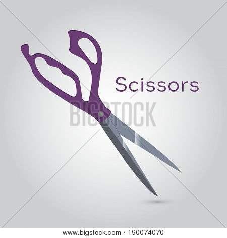 Big Cutter Scissors