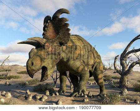 Albertaceratops dinosaur in the desert by day - 3D render