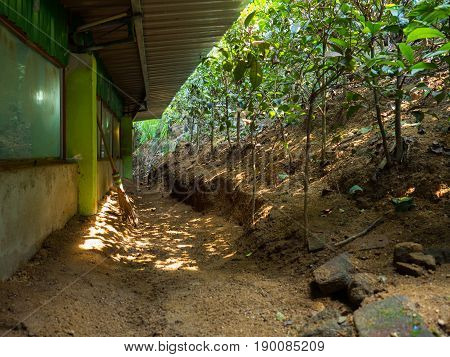 Wooden spices shop in tropical forest in Sri-Lanka