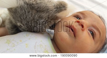 two months old baby boy surrounded by toys, koala and puppy