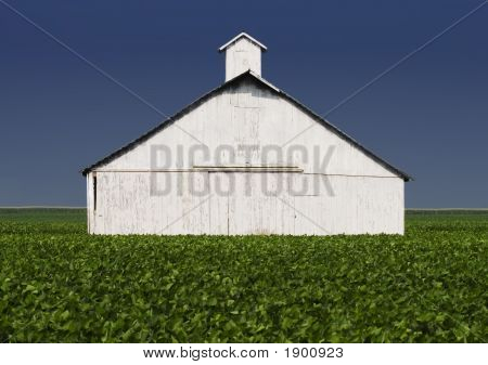 Avlsbygninger