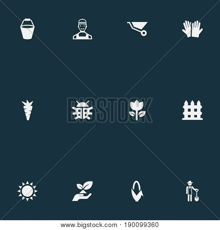 Vector Illustration Set Of Simple Garden Icons. Elements Blossom, Wheelbarrow, Parapet And Other Synonyms Maize, Plougher And Ploughman.