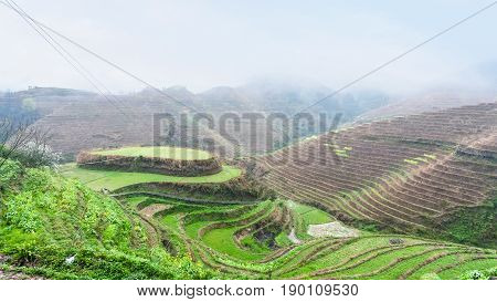 Above View Of Terraced Rice Gardens On Hills
