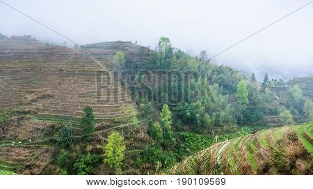 View Of Terraced Fields In Rain From Tiantouzhai