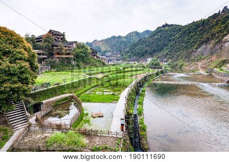 Irrigation Canal And Rice Fields In Chengyang