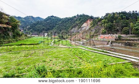 View Of Gardens On Riverbank In Chengyang