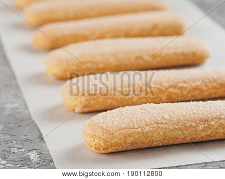 Close up view of ladyfinger biscuit cookie on gray concrete background. Italian cookie savoiardi in row on baking paper.