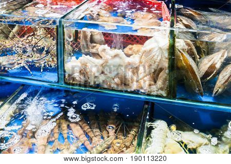 Octopus, Prawns In Fish Market In Guangzhou City